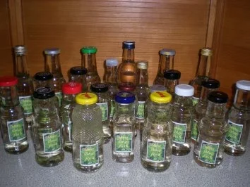 Minze-Sirup - Rezept - Bild Nr. 9