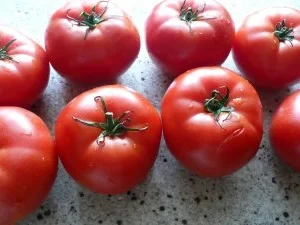 Fleischtomaten mit Frischkäsefüllung - Rezept - Bild Nr. 10