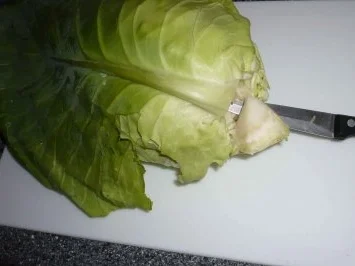 Rezept: Rouladen vom Spitzkohl mit Hackfleisch und Kasselerwürfeln Bild Nr. 4 Rouladen vom Spitzkohl mit Hackfleisch und Kasselerwürfeln - Rezept - Bild Nr. 4