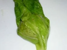 Rezept: Rouladen vom Spitzkohl mit Hackfleisch und Kasselerwürfeln Bild Nr. 13 Rouladen vom Spitzkohl mit Hackfleisch und Kasselerwürfeln - Rezept - Bild Nr. 13