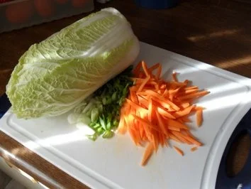 Rezept: Wok-Pfanne mit Knobi-Hähnchen, Möhren, Chinakohl, Frühlingszwiebel und Cocktailtomaten Bild Nr. 4 Wok-Pfanne mit Knobi-Hähnchen, Möhren, Chinakohl, Frühlingszwiebel und Cocktailtomaten - Rezept - Bild Nr. 4