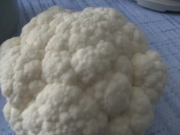 Rezept: Blumenkohl mit Holländischer Soße ( Ein altes DDR Rezept ) und Bild Nr. 2 Blumenkohl mit Holländischer Soße ( Ein altes DDR Rezept ) und - Rezept - Bild Nr. 2