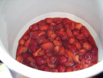 Rumtopf - Rezept - Bild Nr. 5