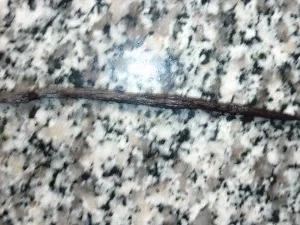 Beschwipste Erdbeermarmelade - Rezept - Bild Nr. 4