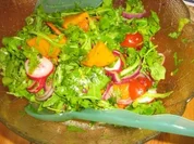 Ruccolasalat mit Sharonfrucht und Radieschen - Rezept