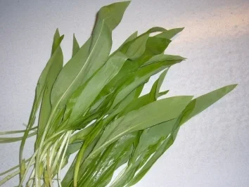 Rezept: Kikis Tzatziki/Gurkenquark "light" Bild Nr. 3 Kikis Tzatziki/Gurkenquark "light" - Rezept - Bild Nr. 3