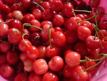 Kirsch-Rhabarber-Grütze - Rezept - Bild Nr. 2