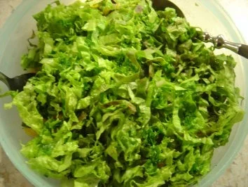 Mango-Salat - Rezept - Bild Nr. 4