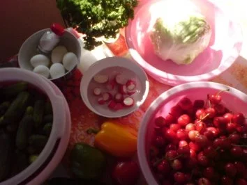 Rezept: Reste-Reste-Schicht-Salat Bild Nr. 3 Reste-Reste-Schicht-Salat - Rezept - Bild Nr. 3