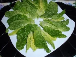 Bunter WM-Salat-Sommerlaune - Rezept - Bild Nr. 3