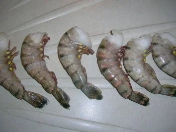 Knoblauch-Garnelen auf Röstbrot - ein kleiner Gruß für  Anne (romantica) - Rezept - Bild Nr. 2