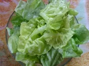 Rezept: Blattsalat Blattsalat - Rezept