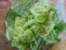 Blattsalat - Rezept