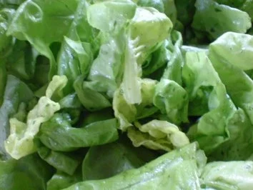 Blattsalat - Rezept - Bild Nr. 8