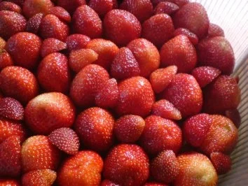 Blattsalat - Rezept - Bild Nr. 20