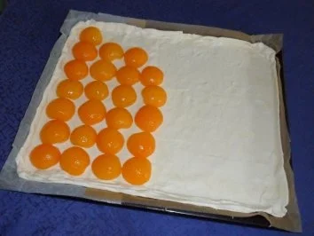 Rezept: Aprikosenkuchen vom Blech (Aprikosentarte) Bild Nr. 2 Aprikosenkuchen vom Blech (Aprikosentarte) - Rezept - Bild Nr. 2