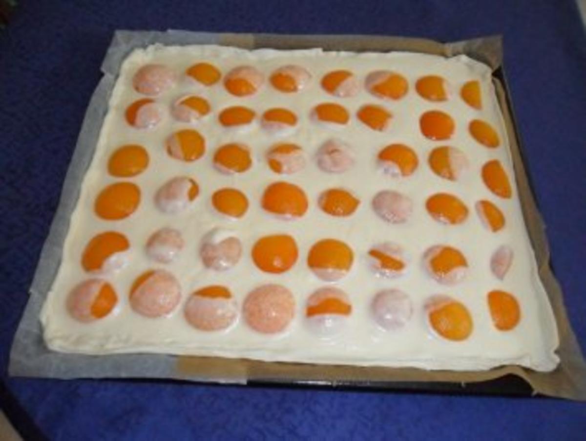 Aprikosenkuchen vom Blech (Aprikosentarte) - Rezept - Bild Nr. 3