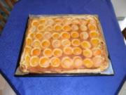 Aprikosenkuchen vom Blech (Aprikosentarte) - Rezept