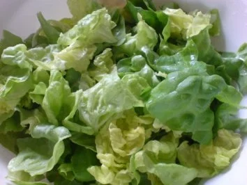 Rezept: Kopfsalat mit Sahnesoße Bild Nr. 5 Kopfsalat mit Sahnesoße - Rezept - Bild Nr. 5