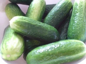 Rezept: Kopfsalat mit Sahnesoße Bild Nr. 10 Kopfsalat mit Sahnesoße - Rezept - Bild Nr. 10