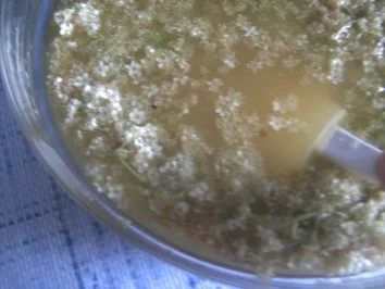 Holunderblüten-Gelee  mein erster in diesem Jahr - Rezept - Bild Nr. 2