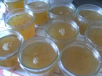 Holunderblüten-Gelee  mein erster in diesem Jahr - Rezept - Bild Nr. 6