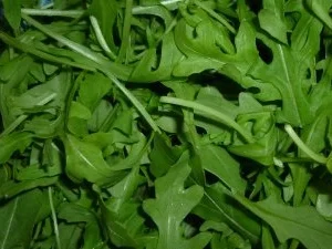 Knoblauch-Rosmarincreme - Rezept - Bild Nr. 5