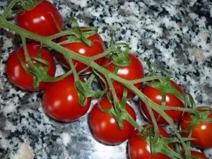 Knoblauch-Rosmarincreme - Rezept - Bild Nr. 6