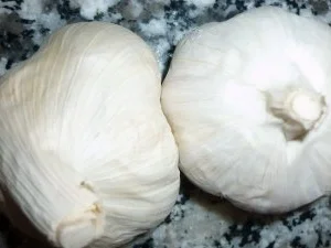 Ruccola-Walnuss-Pesto - Rezept - Bild Nr. 7