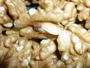 Ruccola-Walnuss-Pesto - Rezept - Bild Nr. 6