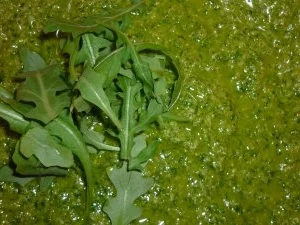 Ruccola-Walnuss-Pesto - Rezept - Bild Nr. 2