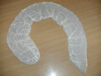 Wursten: Coppa - Rezept - Bild Nr. 4