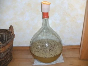 Rezept: Fruchtwein: Holunderblütenwein Fruchtwein: Holunderblütenwein - Rezept