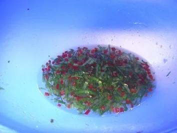 Feurige Melone Teil 2 - Rezept - Bild Nr. 6