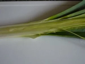 Rezept: Fürstliches Gulasch nach Esterházy-Art Bild Nr. 11 Fürstliches Gulasch nach Esterházy-Art - Rezept - Bild Nr. 11