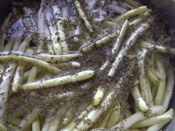 Wachsbohnen - Rezept - Bild Nr. 4