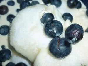 Zitronige Blaubeer-Creme - Rezept - Bild Nr. 2