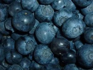 Zitronige Blaubeer-Creme - Rezept - Bild Nr. 3