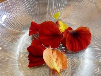 Sommer Suppe - Rezept - Bild Nr. 6