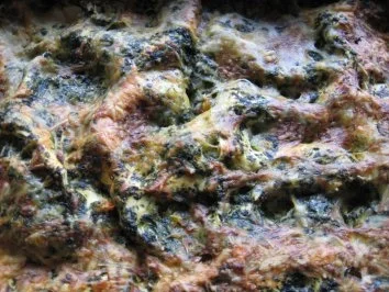 Spinat-Lasagne - Rezept - Bild Nr. 4