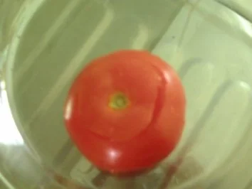 Rezept: gefüllte Tomaten Bild Nr. 2 gefüllte Tomaten - Rezept - Bild Nr. 2