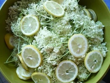 Holundersirup - Rezept - Bild Nr. 4