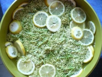 Holundersirup - Rezept - Bild Nr. 5