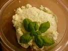 Ricotta-Grundrezept....gesunde Küche - Rezept