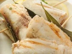 Rezept: antipasti schwertfischròllchen gegrillt antipasti schwertfischròllchen gegrillt - Rezept