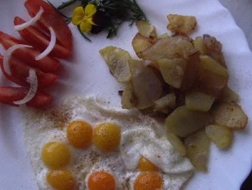 Wachteleier an rohen Bratkartoffeln - Rezept