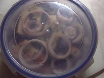 Rezept: Limburger auf Gartenkräuter Bild Nr. 5 Limburger auf Gartenkräuter - Rezept - Bild Nr. 5