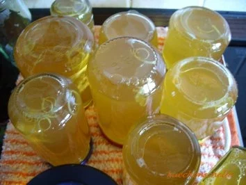 Konfitüre & Co:  Holunderblüten-Apfel-Gelee - Rezept - Bild Nr. 2