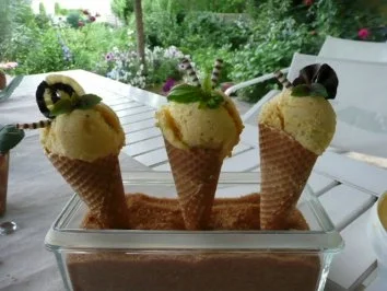 EIS:MANGO-JOGHURT-EIS - Rezept