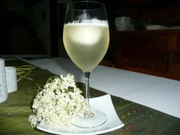 Rezept: EIS: HOLUNDERBLÜTEN-SORBET Bild Nr. 2 EIS: HOLUNDERBLÜTEN-SORBET - Rezept - Bild Nr. 2